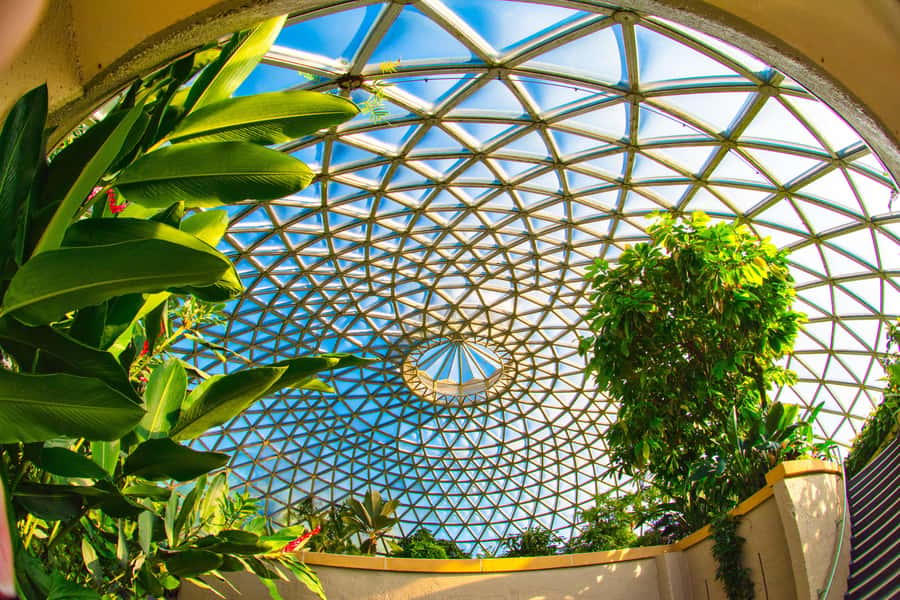 Brisbane Bus Tour: City highlights | Small group | Snack - Brisbane Powerhouse rounds out the route