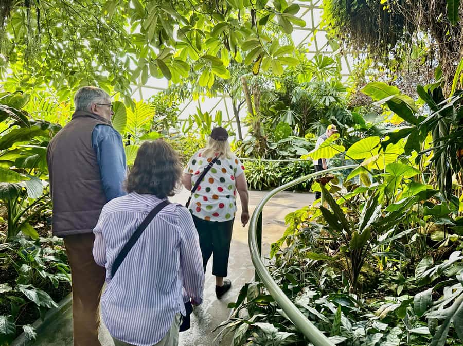 Brisbane Bus Tour: City highlights | Small group | Snack - Starting in Brisbane’s CBD at 8:35am