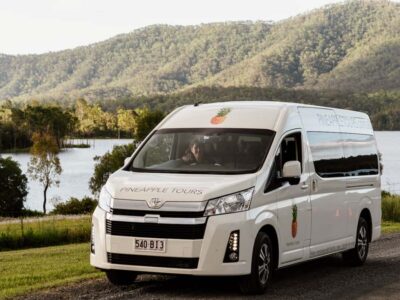 Daytime Glow Worm Caves Hop-on Hop-off Bus Tour
