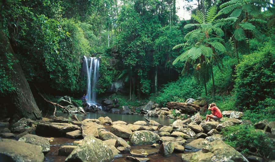 Brisbane: Hop on Hop off Bus to Tamborine Mountain - Key points to know before you book