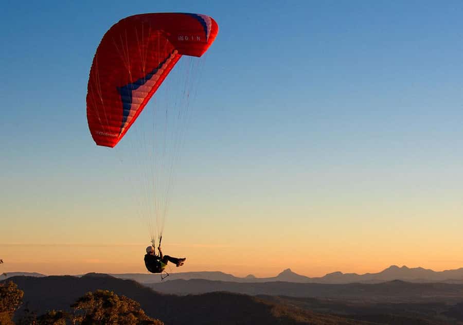 Brisbane: Hop on Hop off Bus to Tamborine Mountain - The drivers are a major part of the value