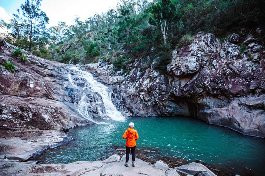 Brisbane: Hop on Hop off Bus to Tamborine Mountain - What the $70 price really buys you