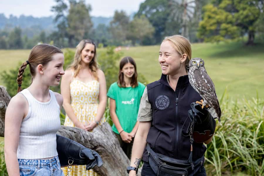 Brisbane: Lone Pine Koala Sanctuary Day Pass - Wombats, dingoes, reptiles, and platypuses