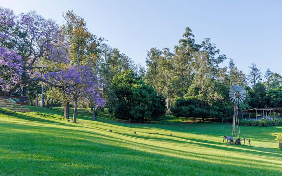 Brisbane: Lone Pine Koala Sanctuary Day Pass - Who will enjoy Lone Pine most?