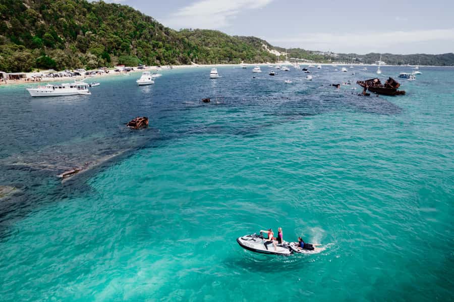 Brisbane: Moreton Island all inclusive Snorkeling Tour - Swimming around the Tangalooma Wrecks