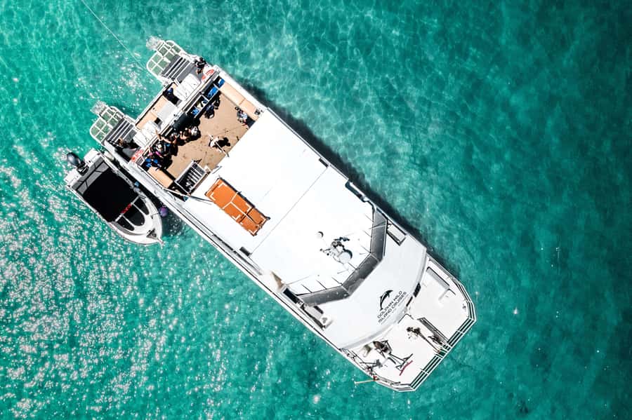 Brisbane: Moreton Island all inclusive Snorkeling Tour - Lunch and one of the day’s best pauses