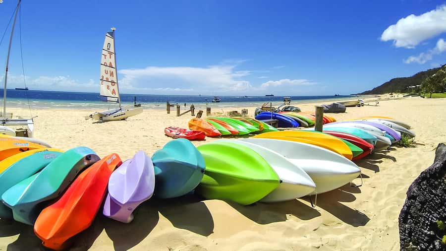 Brisbane: Moreton Island Return Ferry & Adventure Day Pass - Snorkeling around the wrecks
