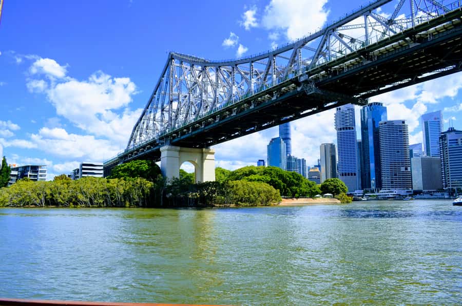 Brisbane: Morning Sightseeing Cruise: 10:30am-12pm (90min) - A gentle start at the Cultural Centre Public Pontoon