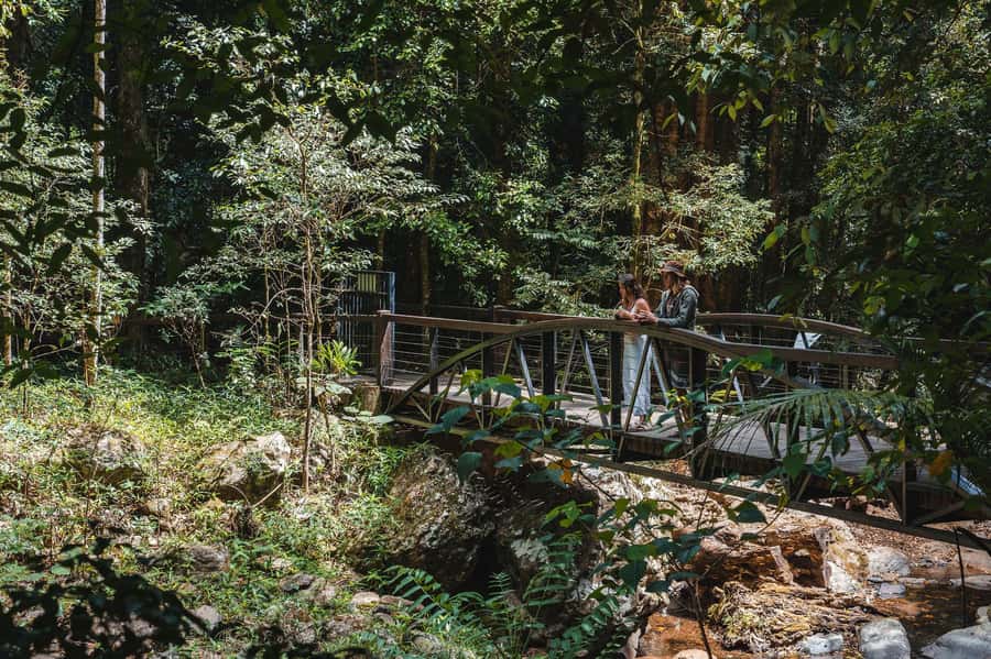 Brisbane: Rainforests, Waterfalls and Glow Worm Cave Tour - Key reasons to consider this day trip
