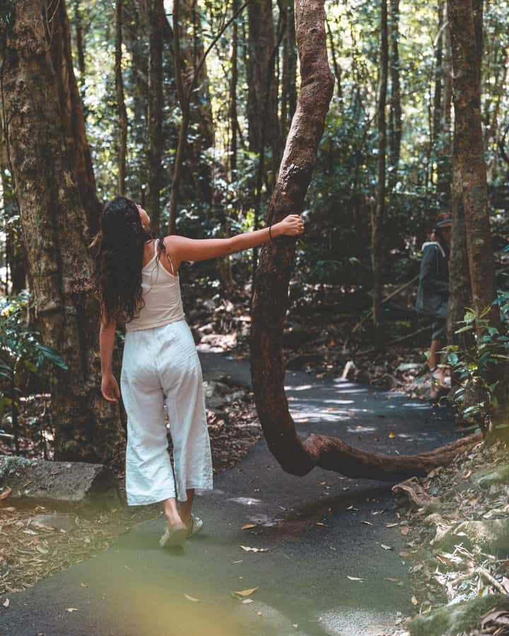 Brisbane: Rainforests, Waterfalls and Glow Worm Cave Tour - Hinze Dam as a final pause