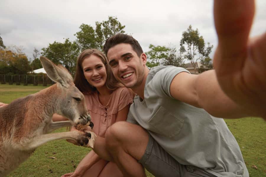 Brisbane River Cruise and Koala Sanctuary Visit - Starting at South Bank, right in Brisbane’s cultural center