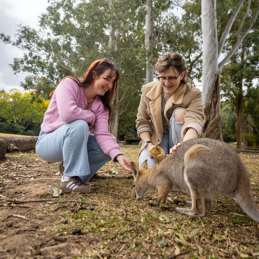 Brisbane River Cruise and Koala Sanctuary Visit - Food, drink, and the real cost of the outing
