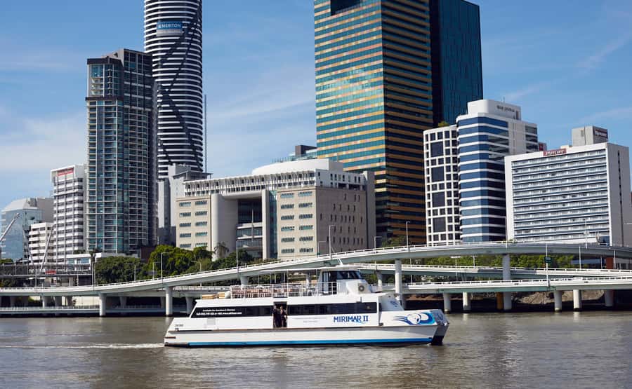 Brisbane River Cruise and Koala Sanctuary Visit - How to use the three hours wisely