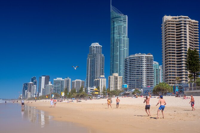 Brisbane Segway Sightseeing Tour - What the guides add to the experience