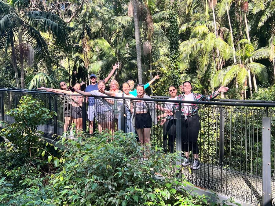 Brisbane: Springbrook and Mt Tamborine Glow Worm and Skywalk - What to bring and who should book
