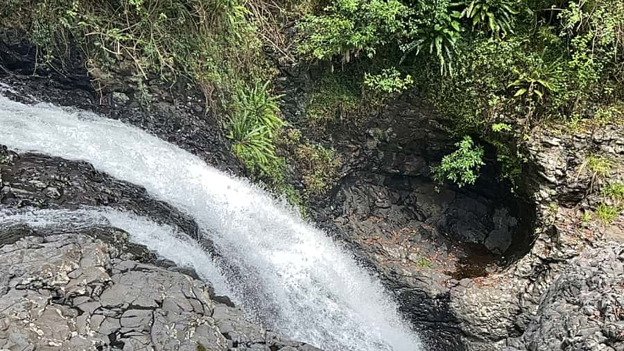 Brisbane: Springbrook and Mt Tamborine Glow Worm and Skywalk - Why this Brisbane day trip works