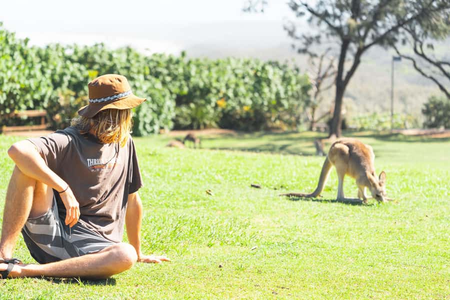 Brisbane: Stradbroke Island Eco Tour - Small Group, Full Day - Five things to know before you book