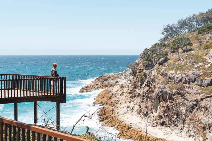 Brisbane: Stradbroke Island Eco Tour - Small Group, Full Day - The return crossing and the real pace of the day