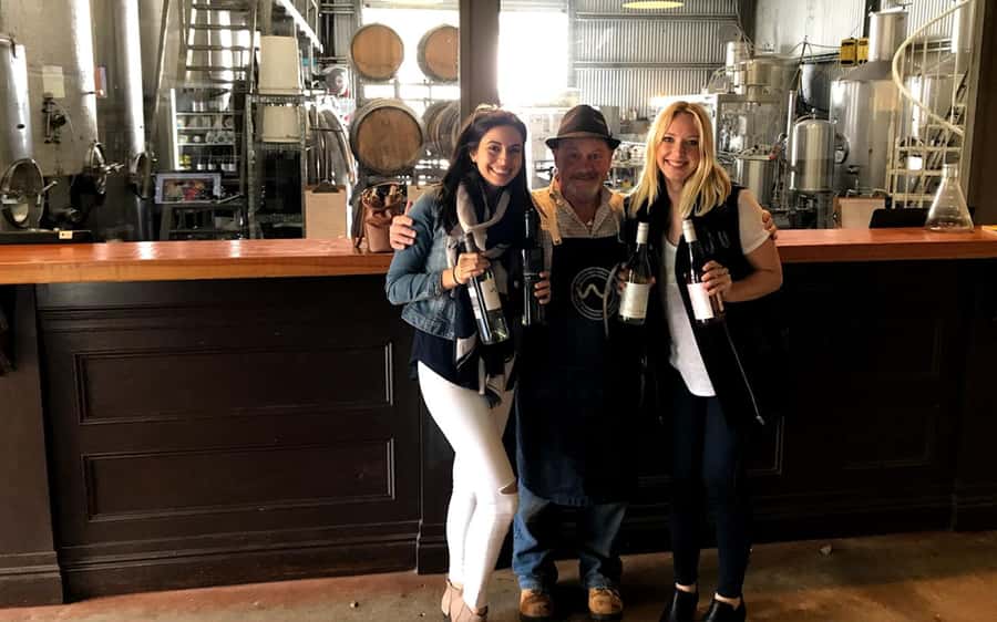 Brisbane: Tamborine Mountain Local Winery Tour with Lunch - Scenic lookouts give the tour its mountain character