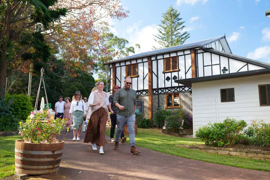 Brisbane: Tamborine Wine & Distillery Tour - The lookout and mountain scenery