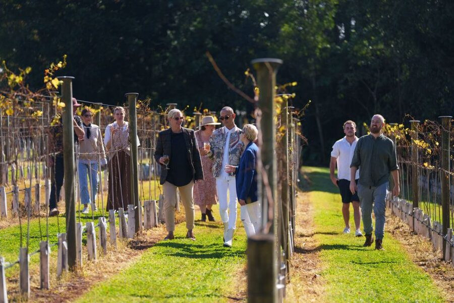 Brisbane: Tamborine Wine & Distillery Tour - What $134 buys you