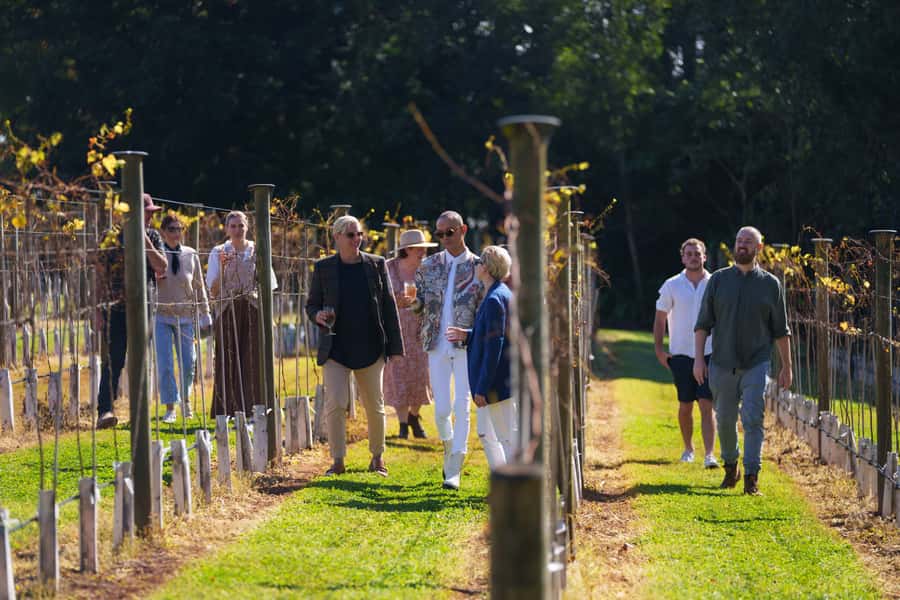 Brisbane: Tamborine Wine & Distillery Tour - Practical details before you reserve