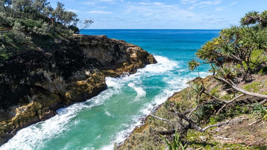 Brisbane to North Stradbroke Island Day: Wildlife & Beaches - Key points at a glance