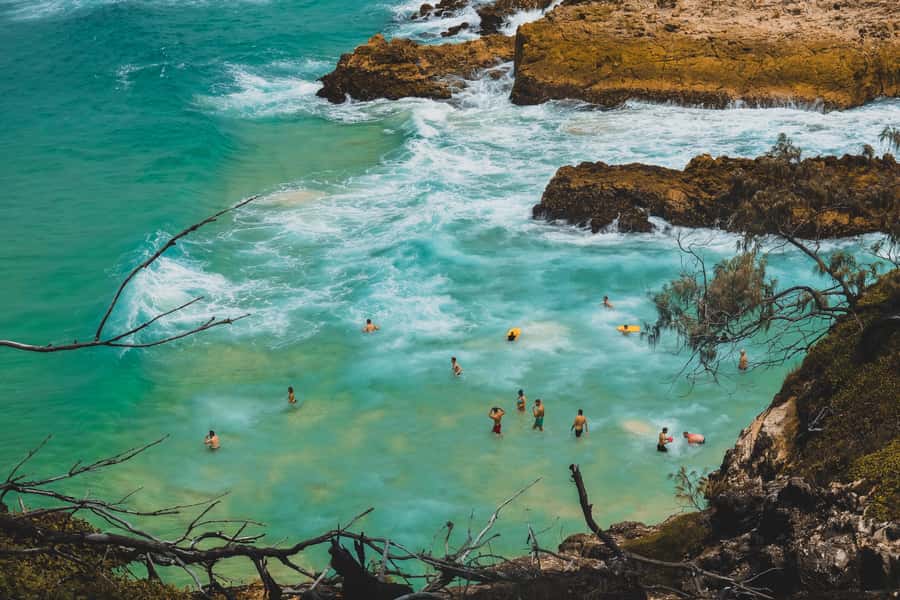 Brisbane to North Stradbroke Island Day: Wildlife & Beaches - Should you book it?