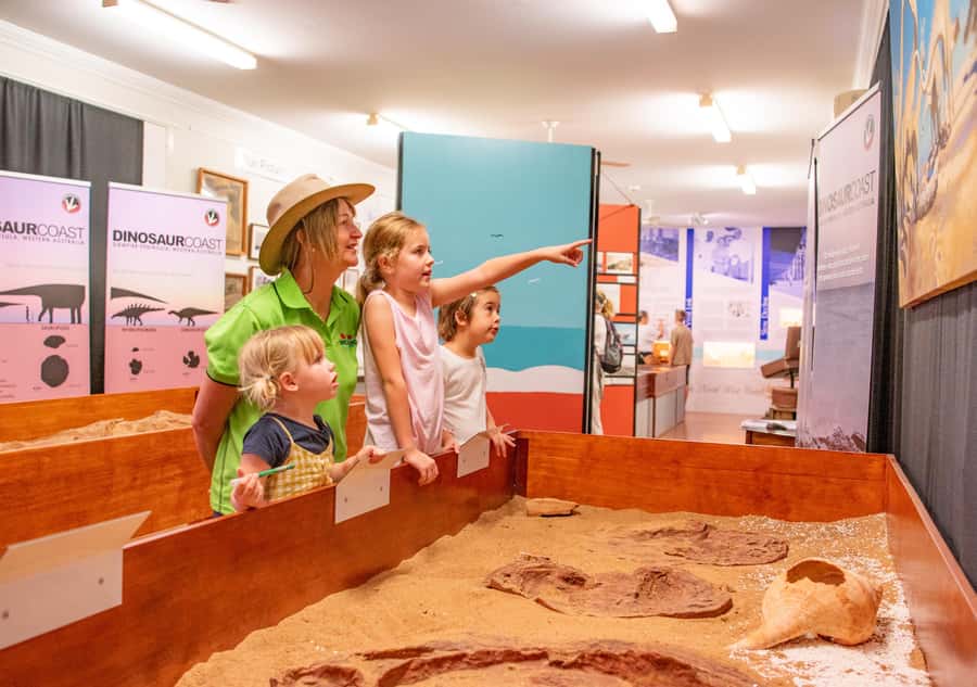 Broome: Matso's Brewery, Museum & Crocodile Park Combo Tour - Returning to Broome after four hours
