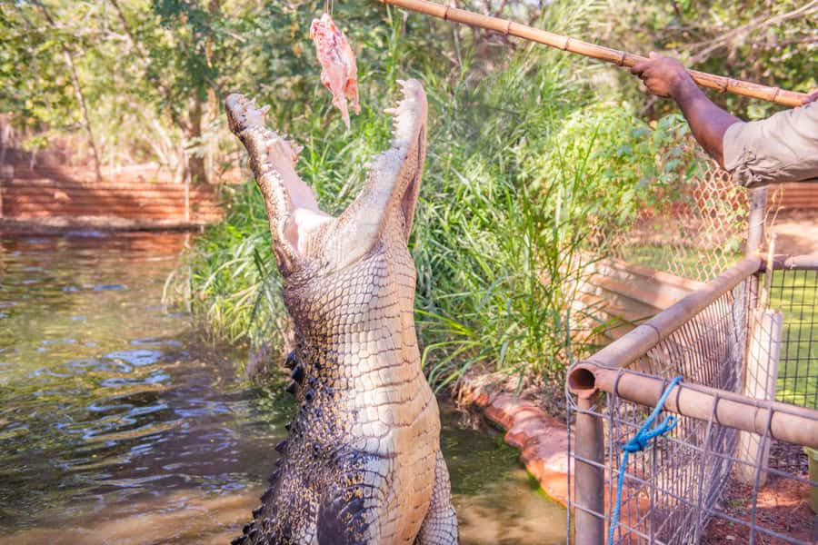 Broome: Matso's Brewery, Museum & Crocodile Park Combo Tour - Hotel pickup and the first ride through Broome