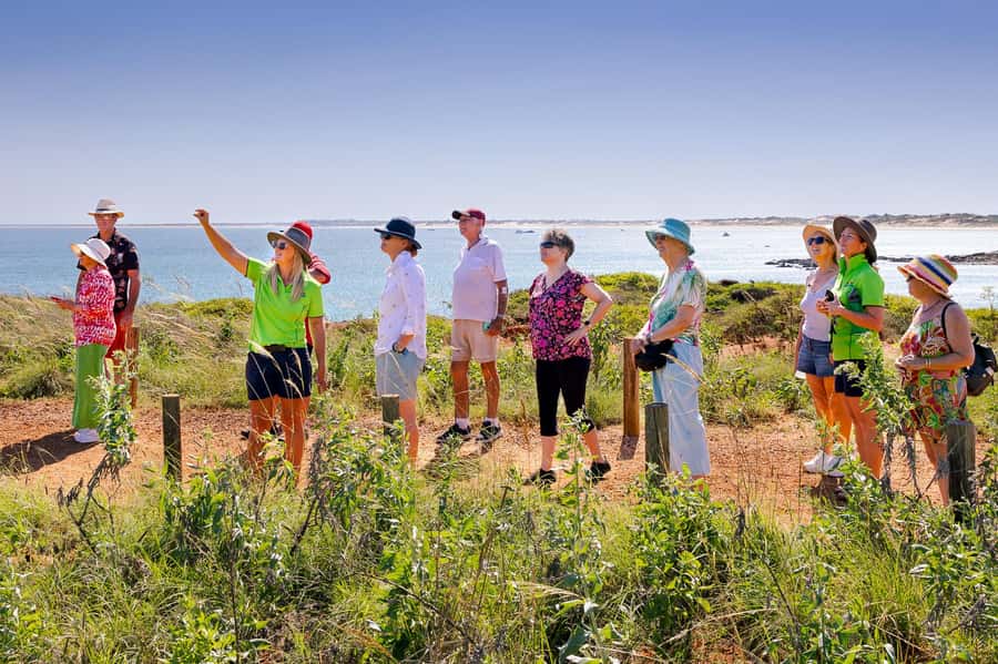 Broome: Panoramic and Discovery - Morning Tour w/ Transfers - Gantheaume Point, red rock, and dinosaur tracks