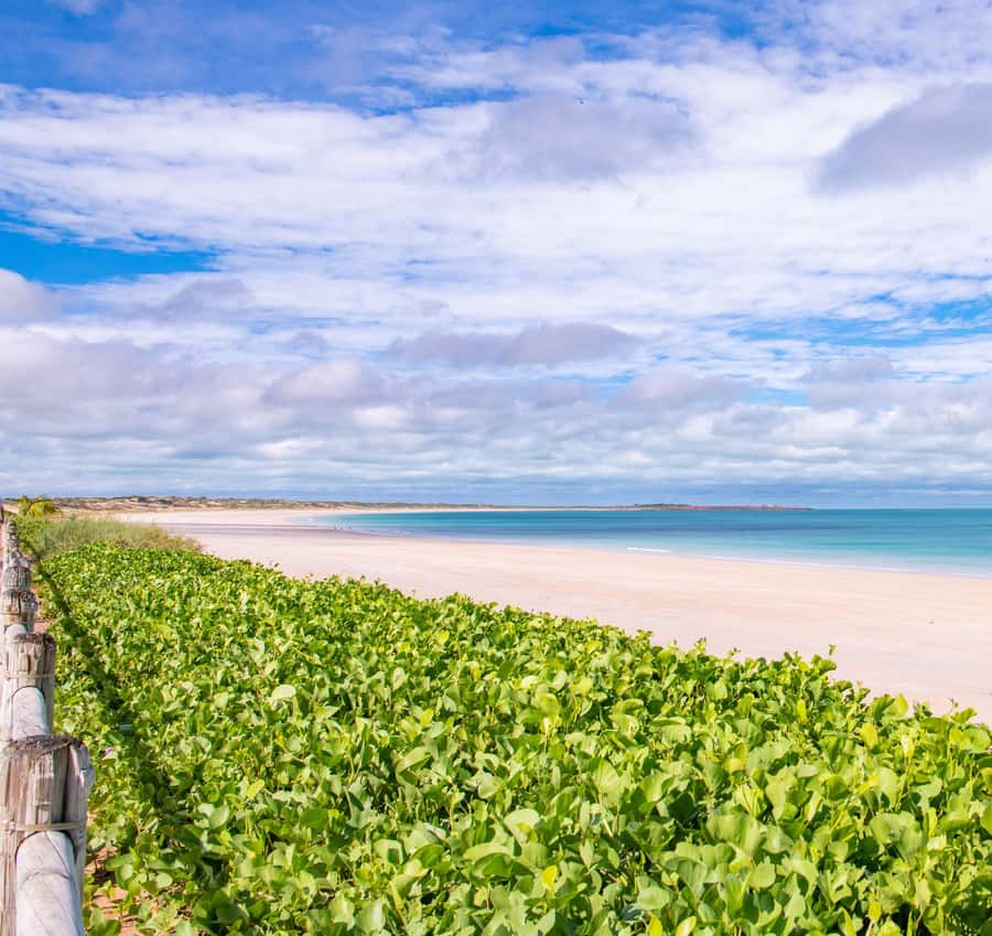 Broome: Panoramic and Discovery - Morning Tour w/ Transfers - Cable Beach and Lord McAlpines grand idea