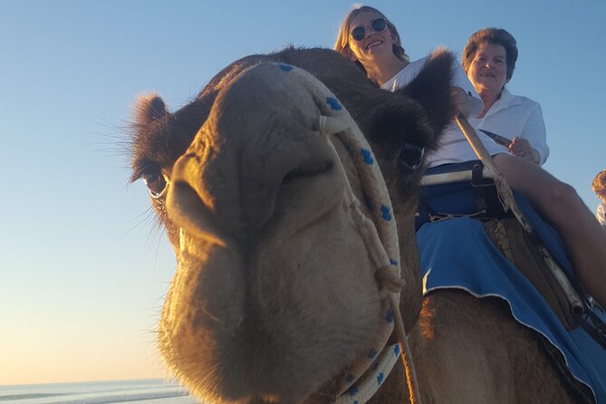 Broome Pre-sunset Camel Tour 30 minutes - The Cable Beach ride, step by step