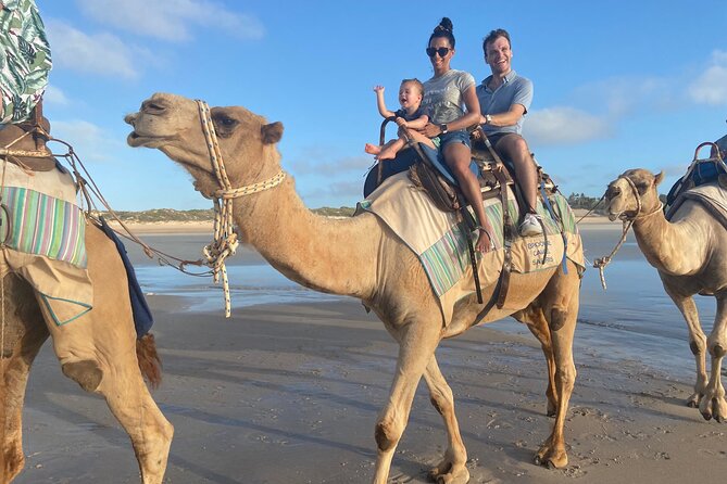 Broome Pre-sunset Camel Tour 30 minutes - Meeting the camels at Cable Beach
