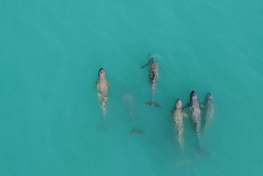 Broome: Snubfin Dolphin Cruises - Boarding at Entrance Point and the first 15 minutes