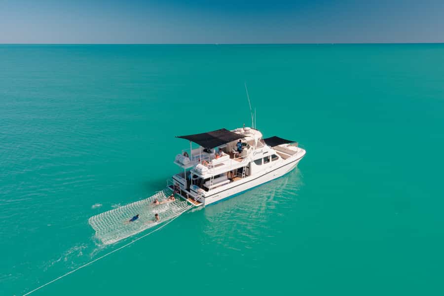 Broome: Snubfin Dolphin Cruises - The 30-minute boom-net swim