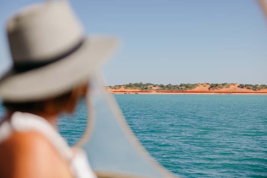 Broome: Snubfin Dolphin Cruises - Wildlife watching across Roebuck Bay
