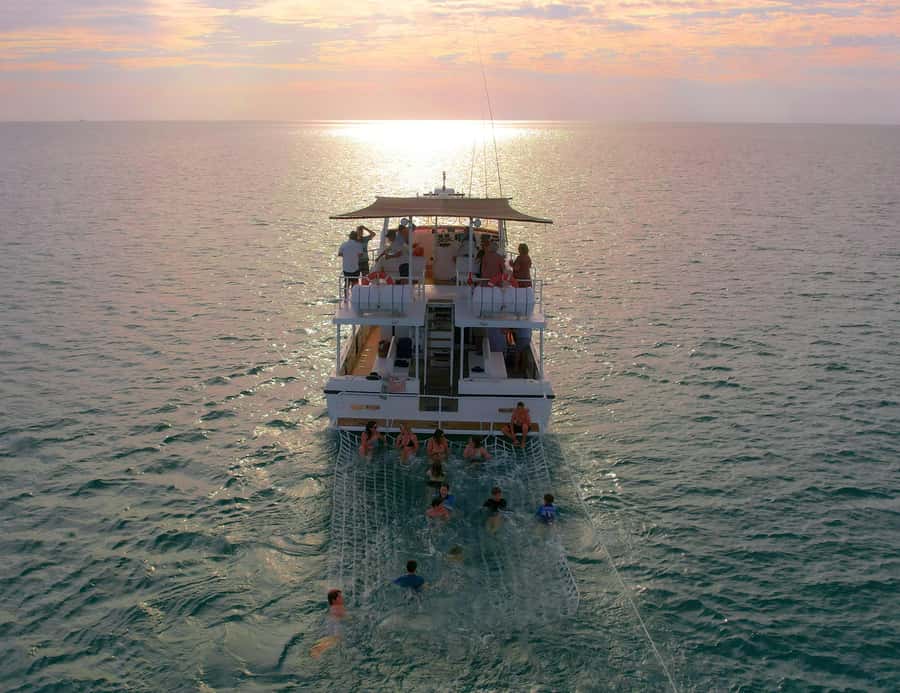 Broome: Whale Watching & Sunset Cruise - Practical Tips For A Better Afternoon