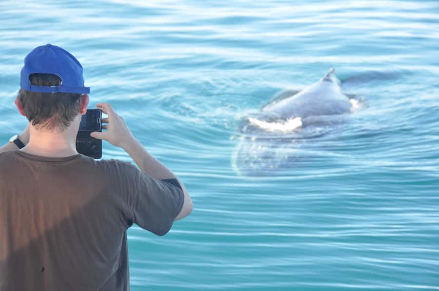 Broome: Whale Watching & Sunset Cruise - The 15-Minute Safety Briefing