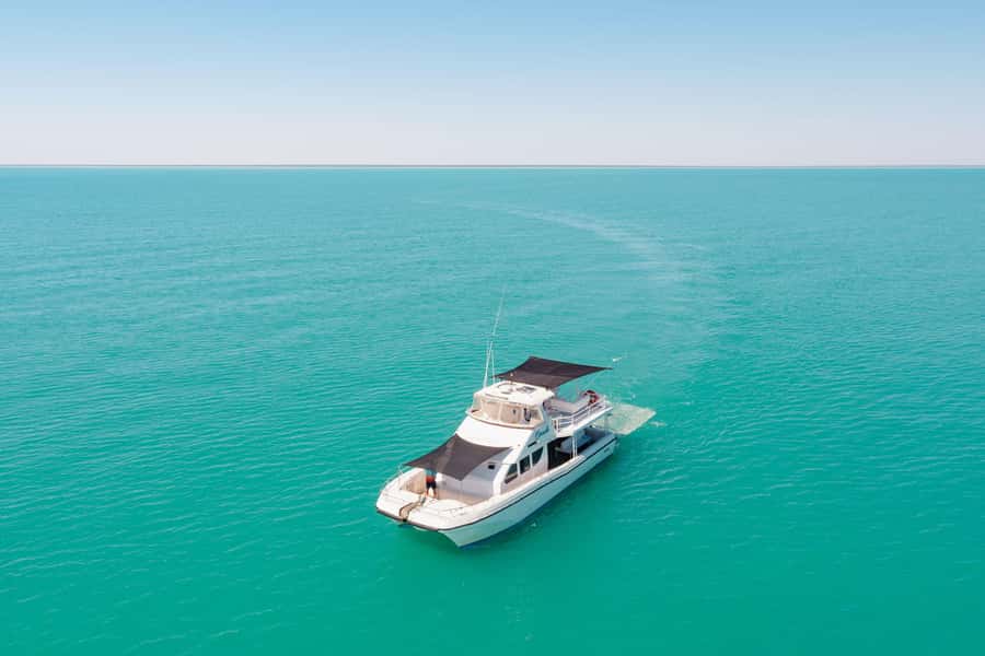 Broome: Whale Watching & Sunset Cruise - Treats, Drinks, And The Sunset Finish