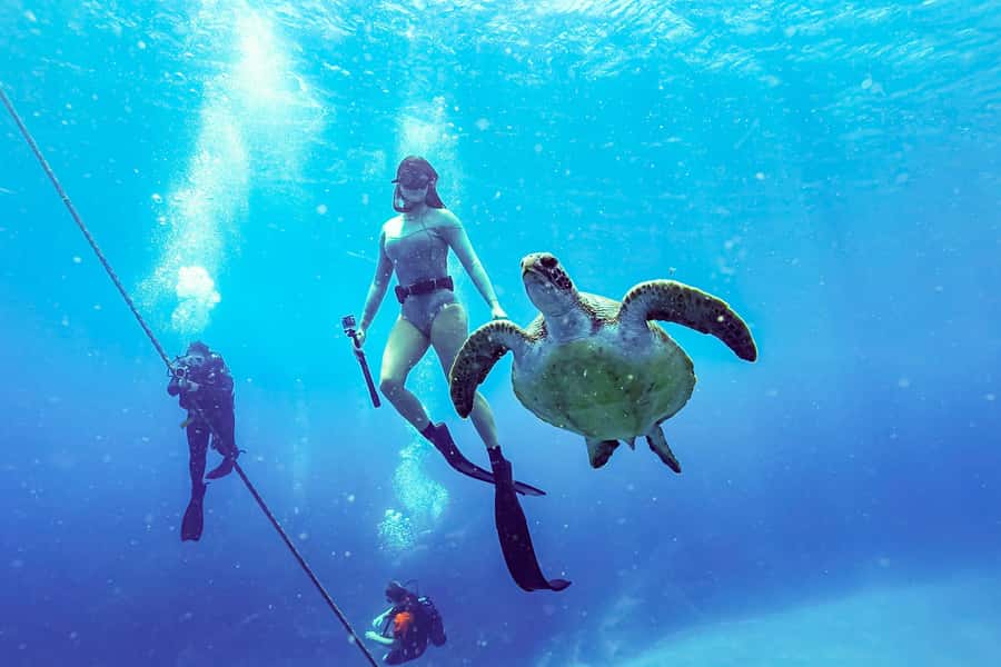 Brunswick Heads: Snorkelling in Byron Bay - Underwater photos and videos included in the price
