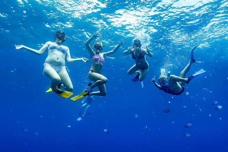 Brunswick Heads: Snorkelling in Byron Bay - Is $91 good value for three hours?