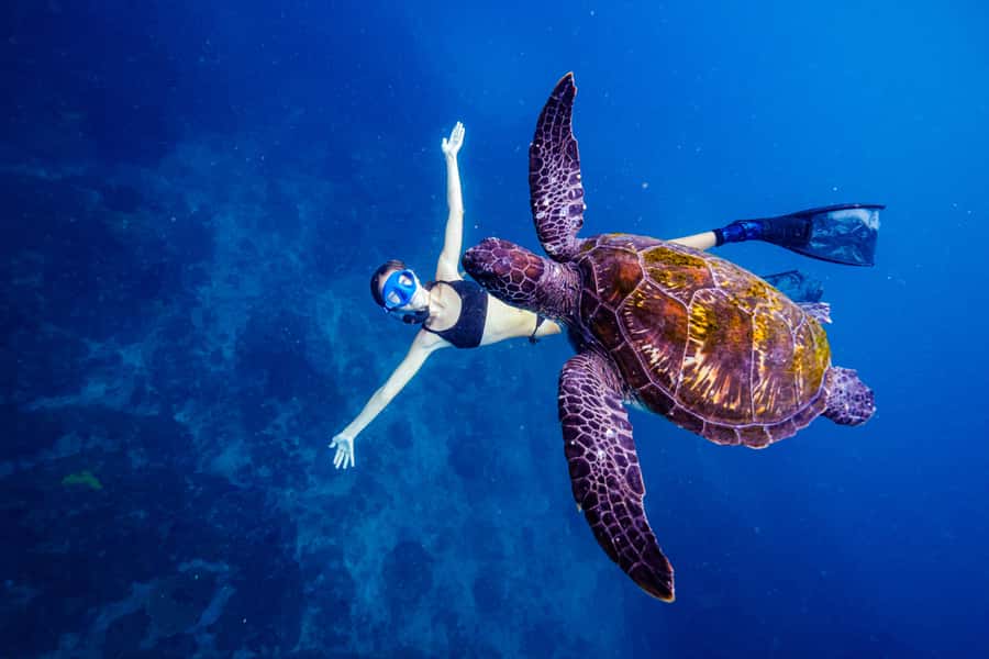 Brunswick Heads: Snorkelling in Byron Bay - Leaving Brunswick Heads aboard Apollo 2