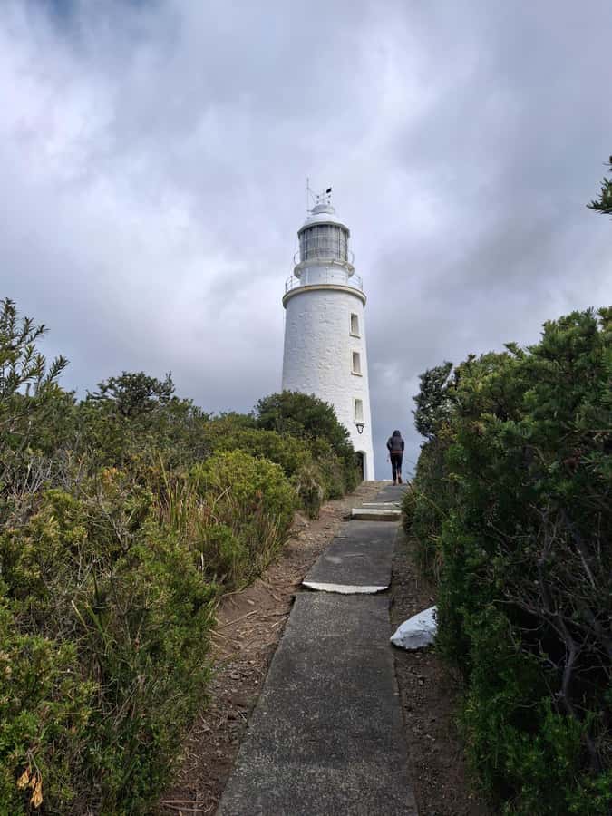 Bruny Island: Cape Bruny Lighthouse Tour - Cape Bruny Lighthouse Tour at a glance