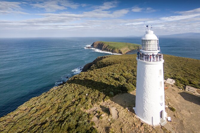 Bruny Island Food, Sightseeing, Guided Lighthouse Tour & Lunch - Five good reasons to consider this Bruny Island day