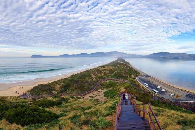 Bruny Island Food, Sightseeing, Guided Lighthouse Tour & Lunch - The guide can make or break the day