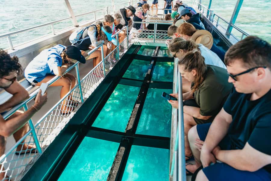 Bundaberg: Lady Musgrave Island and Great Barrier Reef Tour - From Burnett Heads to the Southern Great Barrier Reef