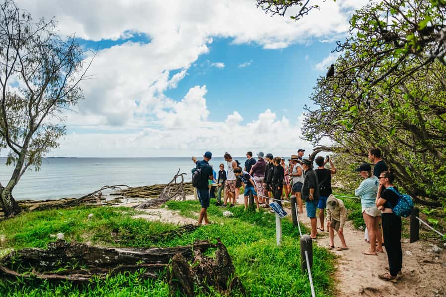 Bundaberg: Lady Musgrave Island and Great Barrier Reef Tour - Lady Musgrave HQ makes the reef day easier