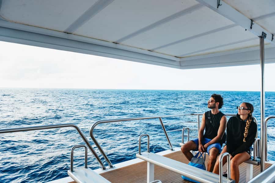 Bundaberg: Lady Musgrave Island and Great Barrier Reef Tour - Weather, comfort, and who should book