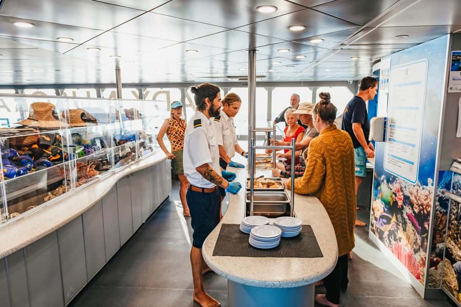 Bundaberg: Lady Musgrave Island and Great Barrier Reef Tour - Should you book the Lady Musgrave day trip?